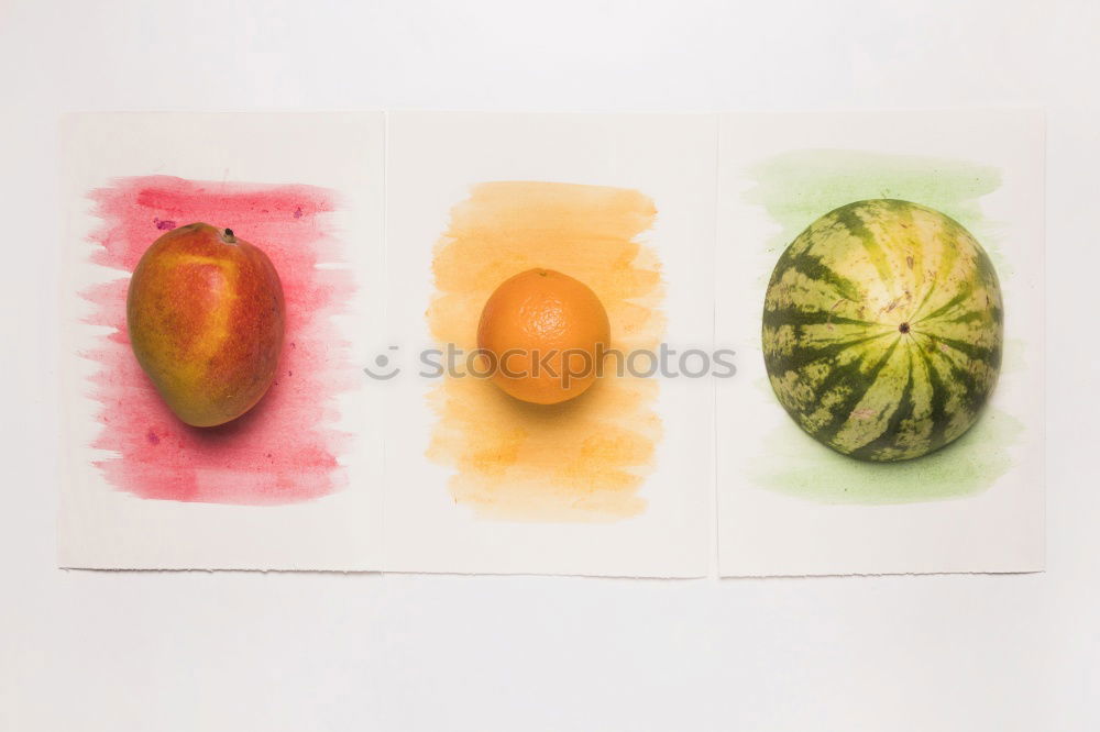 Similar – Image, Stock Photo herbarium Elegant Style