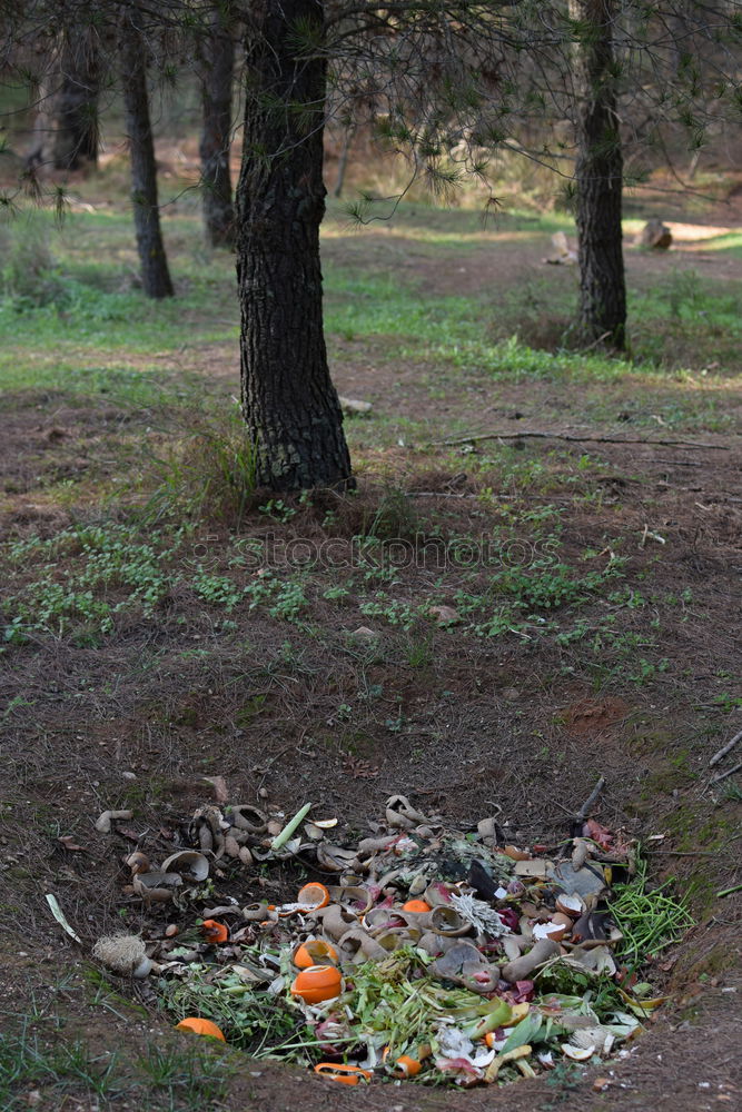 Similar – Image, Stock Photo New Year Trash Explode