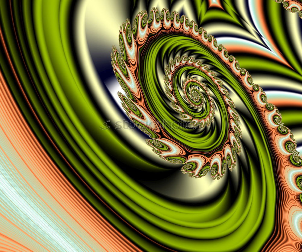 Similar – Image, Stock Photo Symmetry of the shell spiral