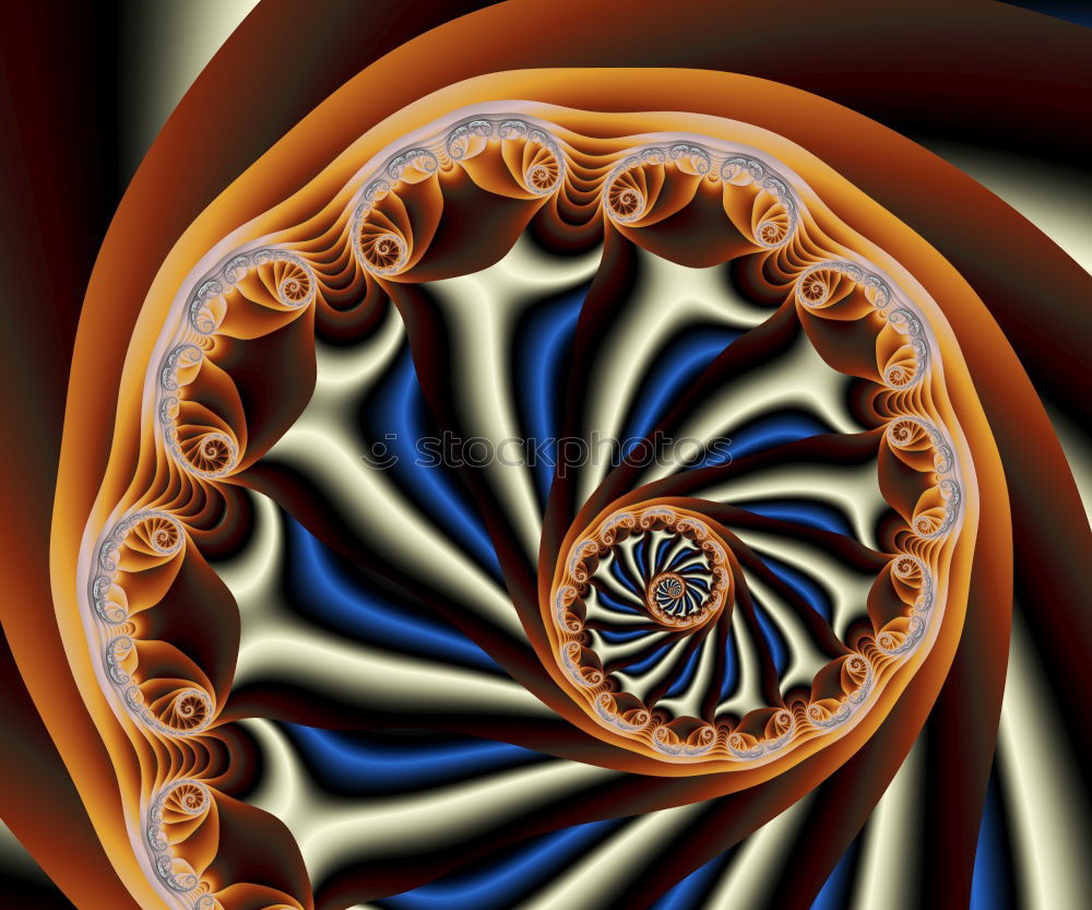 Similar – Image, Stock Photo Symmetry of the shell spiral