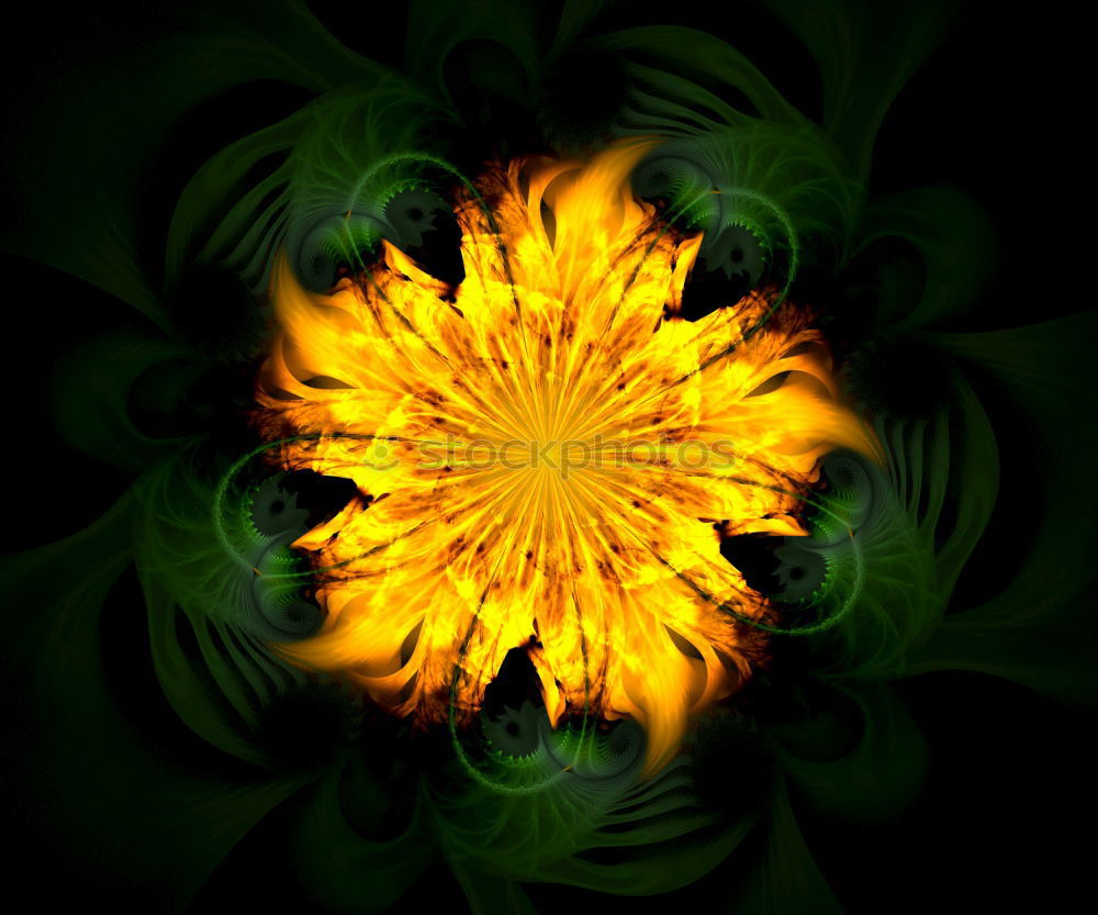 Similar – Image, Stock Photo Sun or flower Sunflower