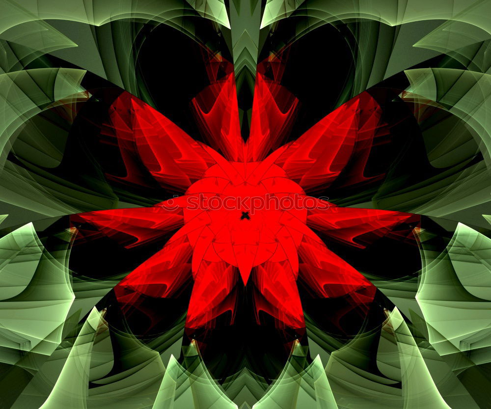 Similar – ColorKey Colorkey Flower