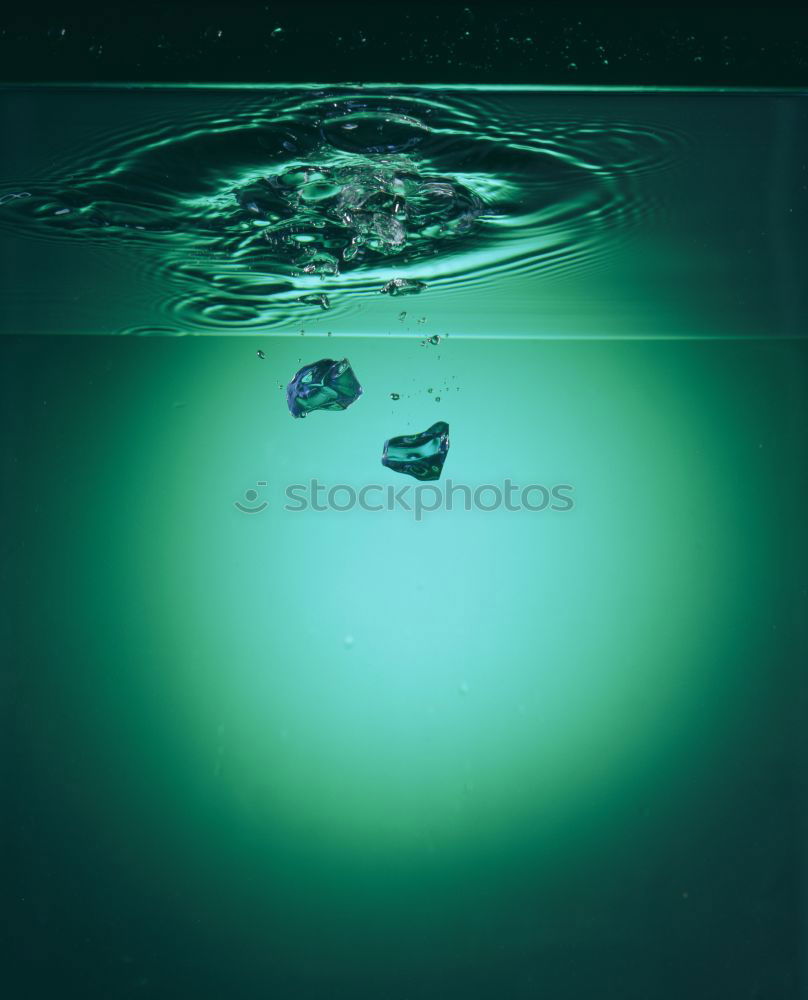 Similar – Image, Stock Photo NoPups Colour photo