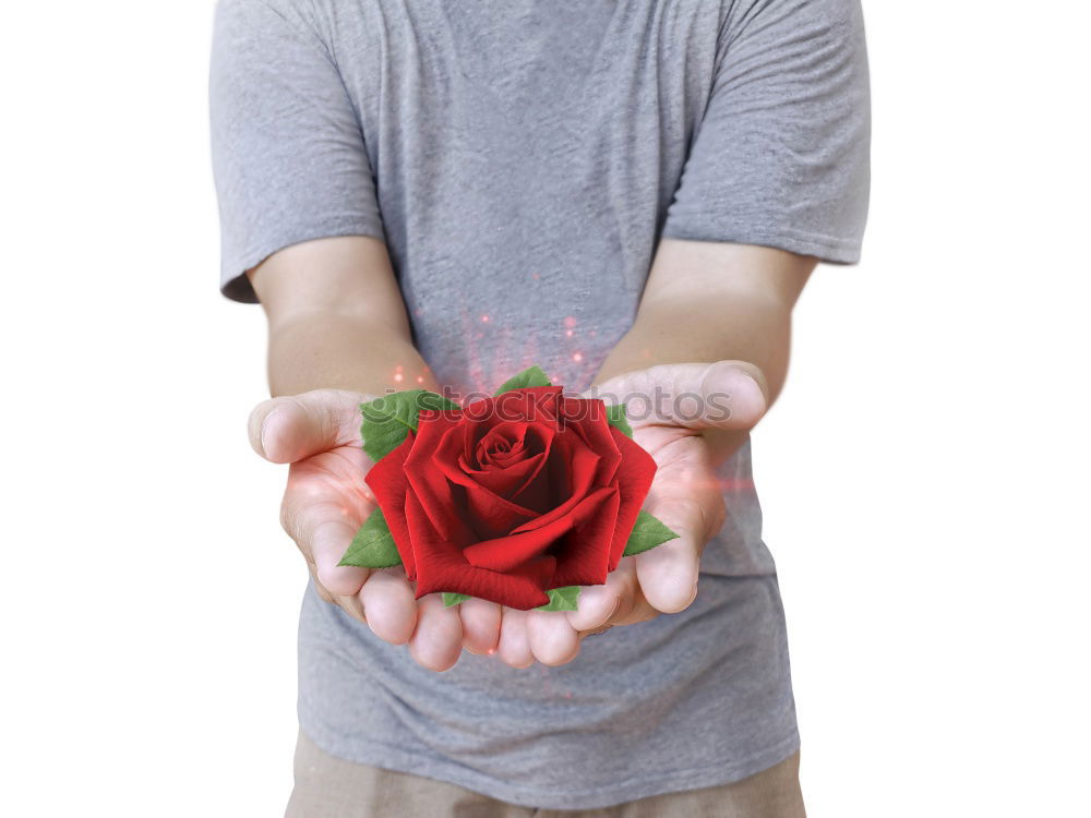 Similar – Woman hold bouquet Design