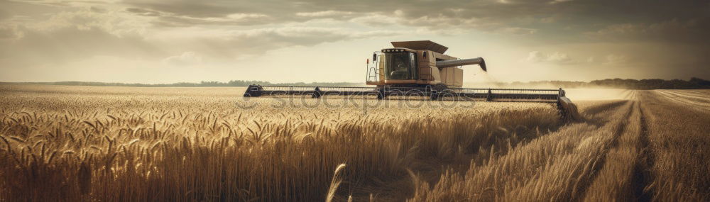 Similar – Image, Stock Photo Soon done! Grain harvest