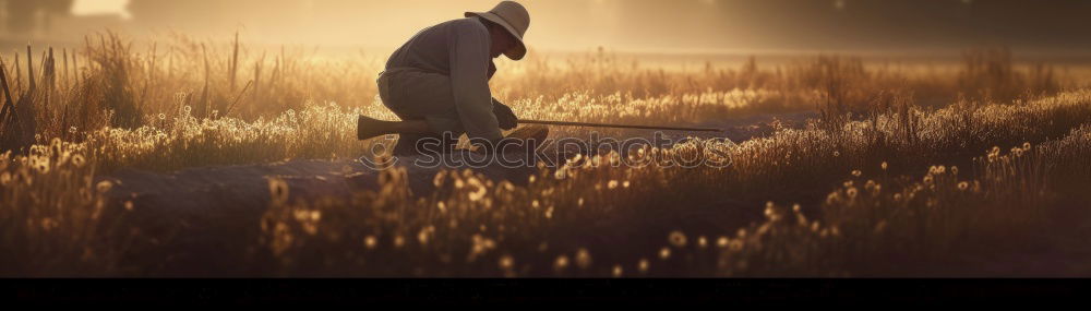 Image, Stock Photo golden gun Art Work of art