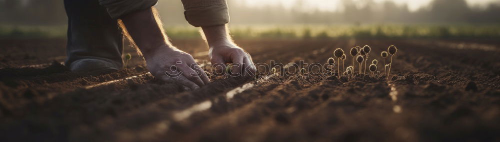 Similar – Image, Stock Photo Chucks are made for any terrain!