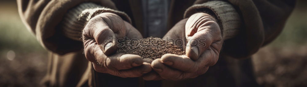 Image, Stock Photo Crop hands in a haystack