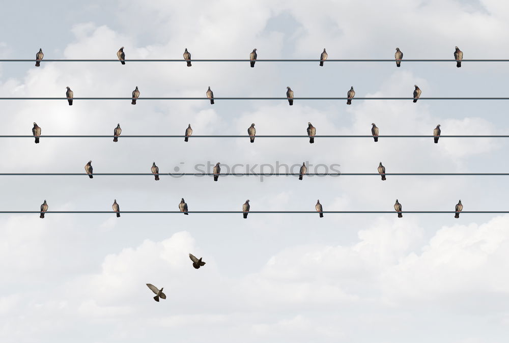 Image, Stock Photo captured. Sky