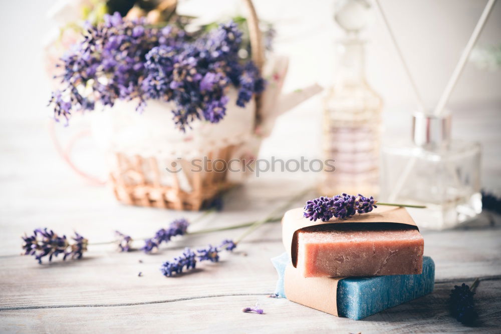 Similar – Pink macaroons and natural flowers on light wooden table