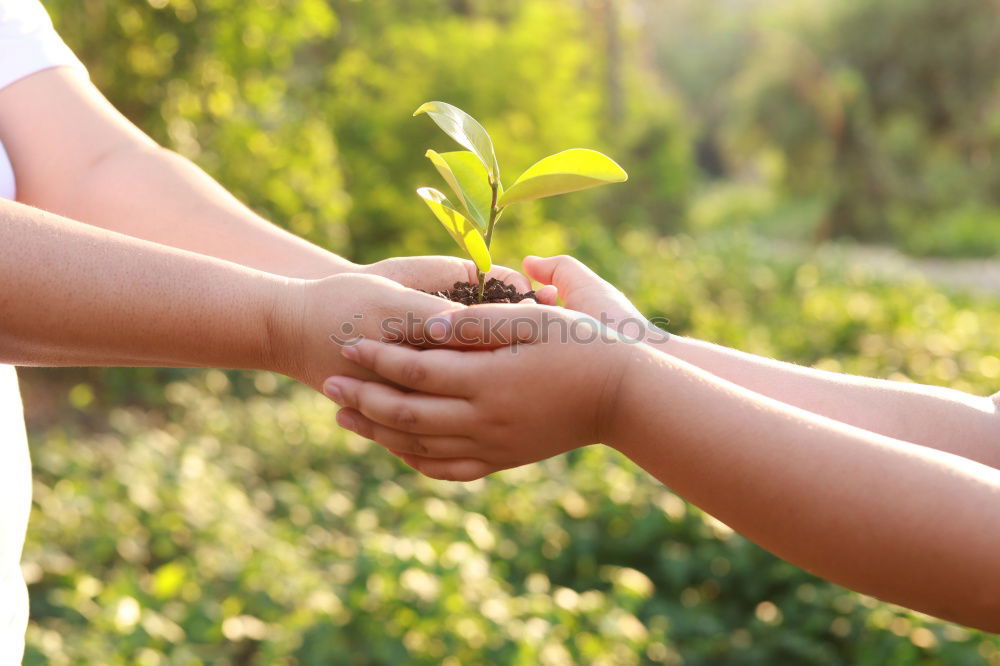 Similar – Hand in hand with a bouquet of flowers