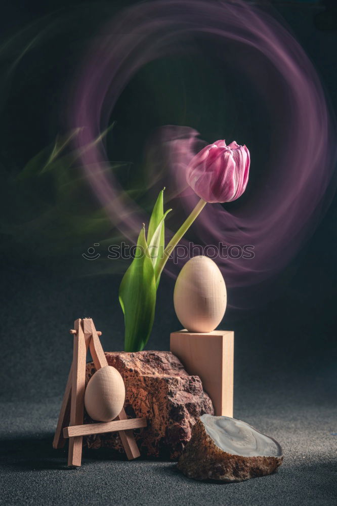 Similar – Image, Stock Photo christmas decoration