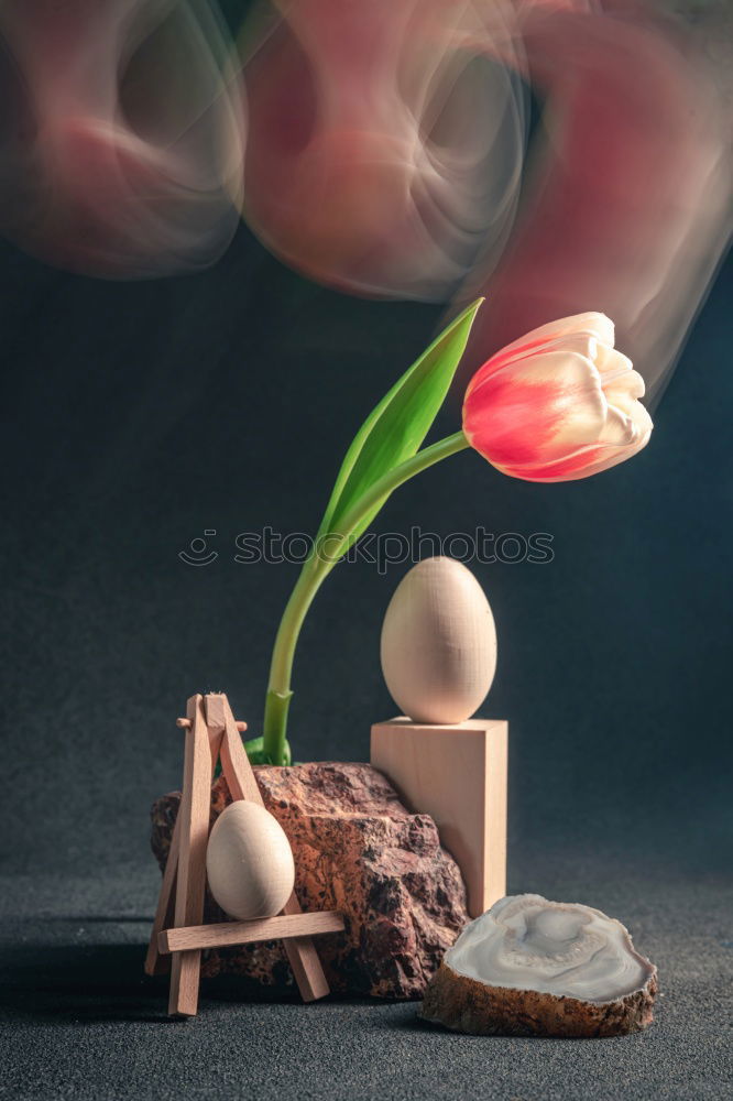 Similar – Image, Stock Photo christmas decoration