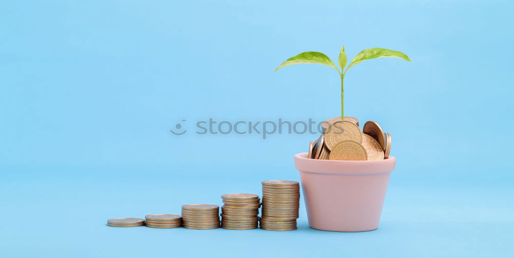 Similar – Image, Stock Photo Finances under control Art