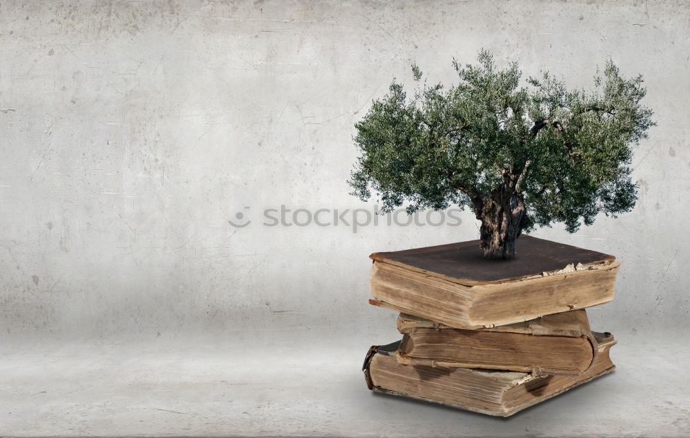 Similar – tree of knowledge