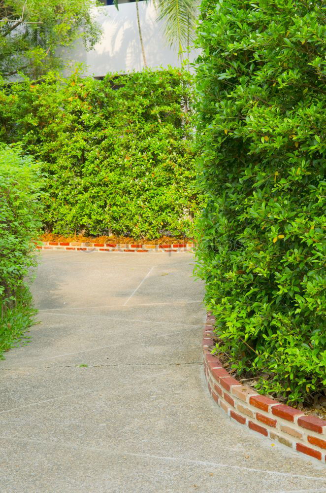 Similar – Image, Stock Photo Bird’s eye view of the terrace