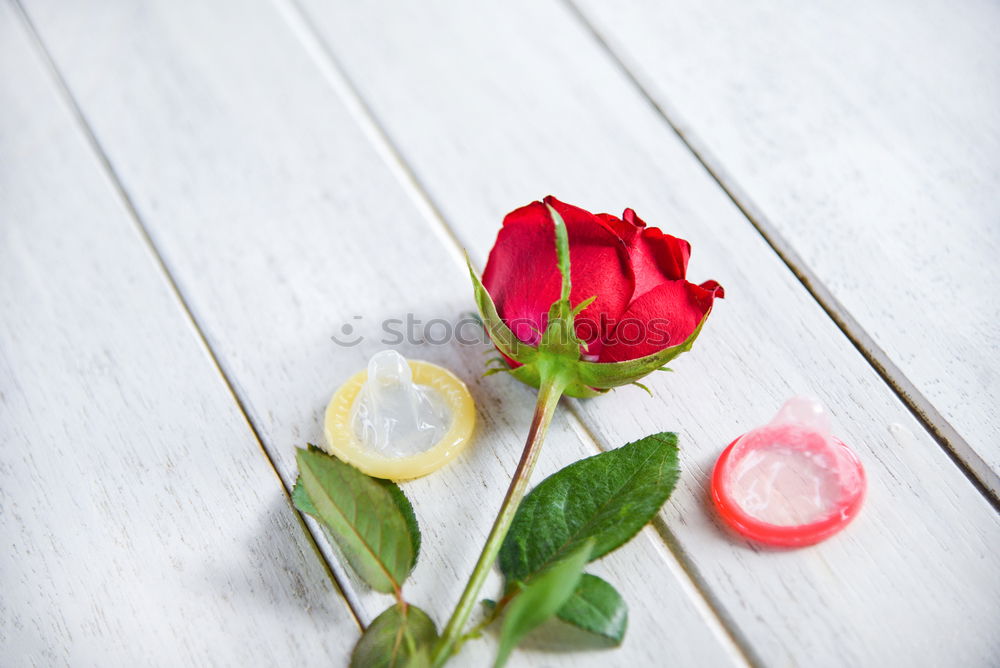 Similar – Image, Stock Photo Flowers and old scissors on wet wooden table