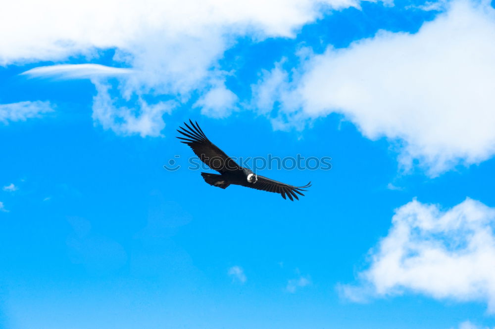 Similar – Image, Stock Photo Golgotha 1 Blue White