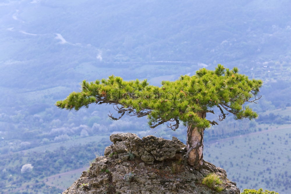 Similar – Image, Stock Photo Mountains in Norway