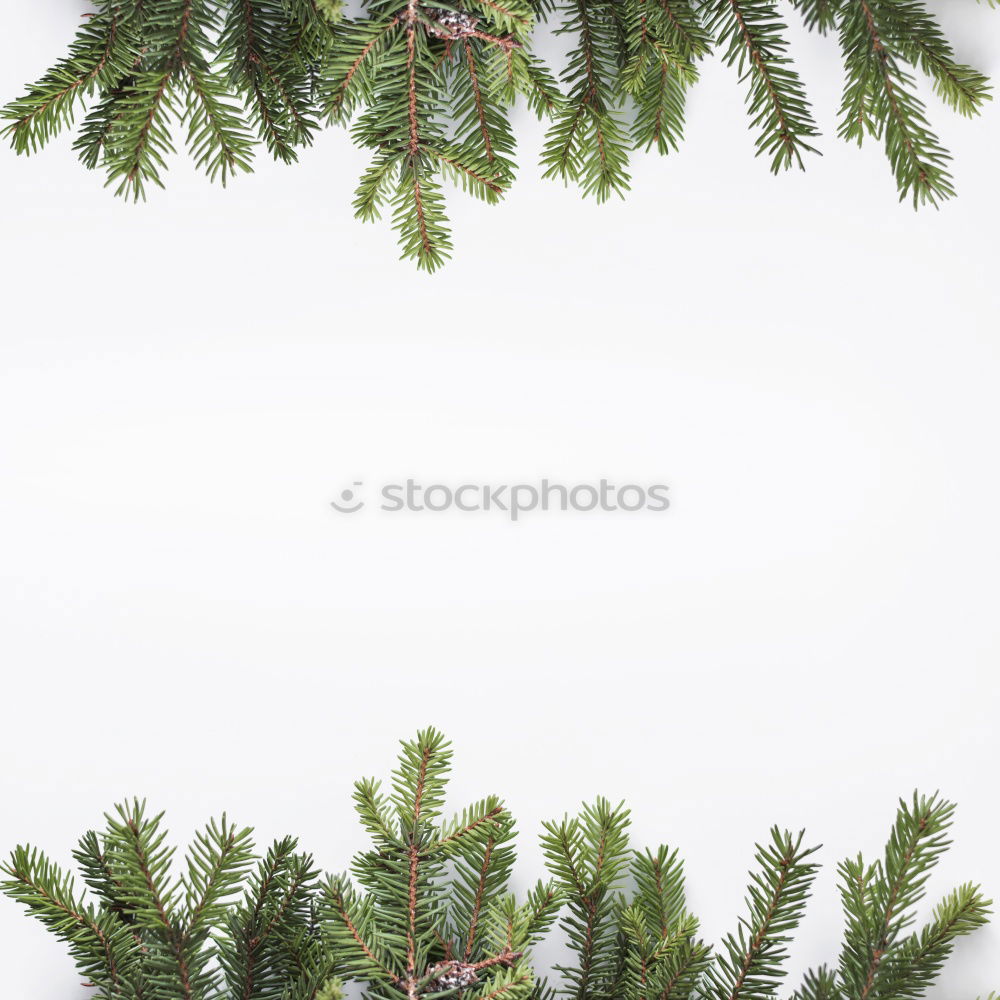 Similar – Image, Stock Photo Yesterday’s Christmas tree