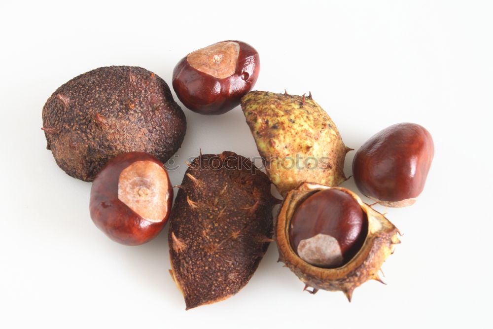 Similar – Image, Stock Photo chestnuts Chestnut tree