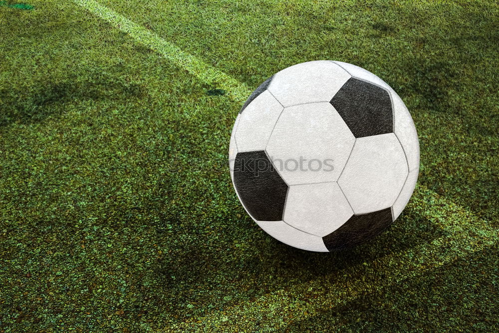 Similar – Vintage soccer ball on green grass over the white line