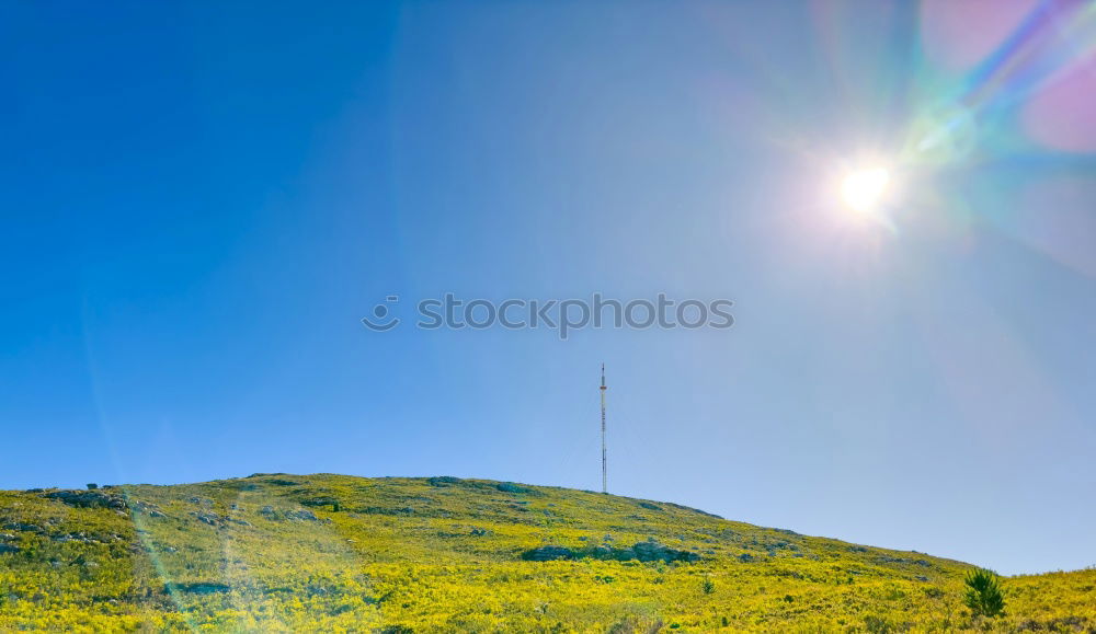 Similar – Image, Stock Photo edelweiss Mountain Hiking