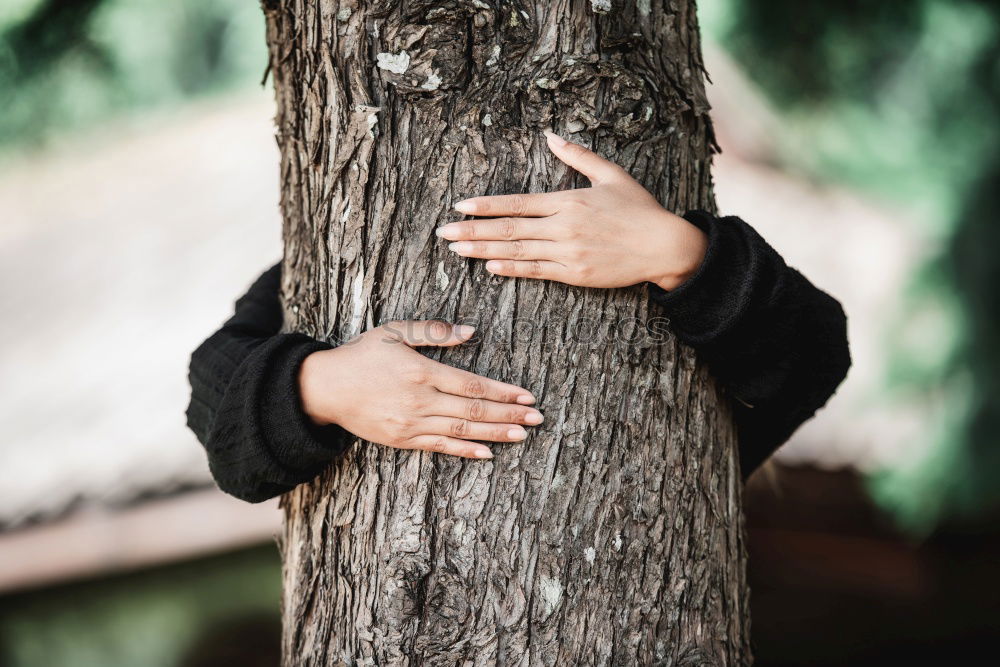 Similar – Image, Stock Photo happy kid girl exploring summer forest