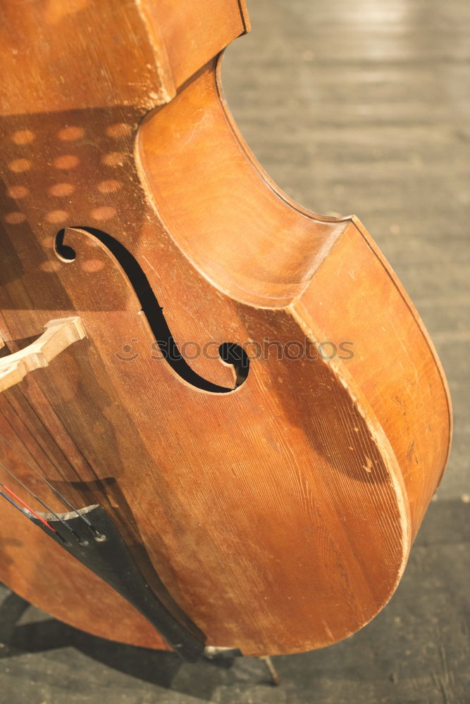 Similar – Steg Cello Holz