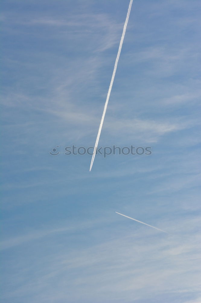 Similar – Image, Stock Photo helifield Canola