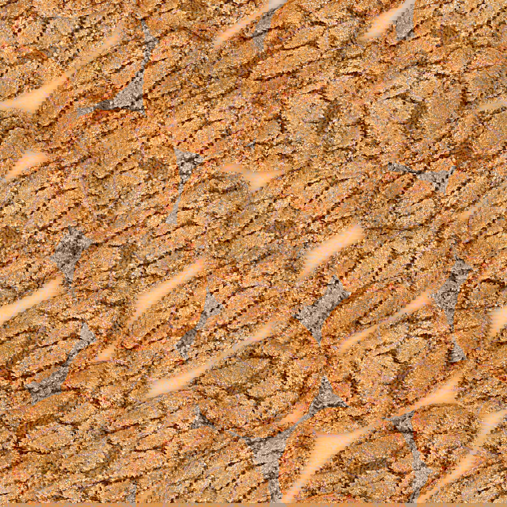 Similar – Image, Stock Photo in oman rub al khali old desert and the