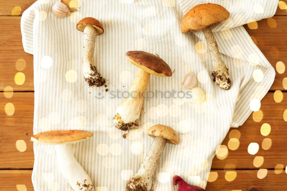 Similar – Image, Stock Photo jeschnibbelte mushrooms III