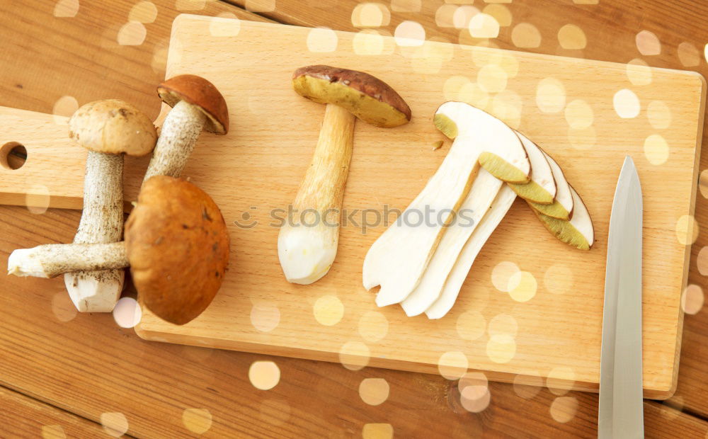 Similar – Image, Stock Photo Yield Mushroom search Art