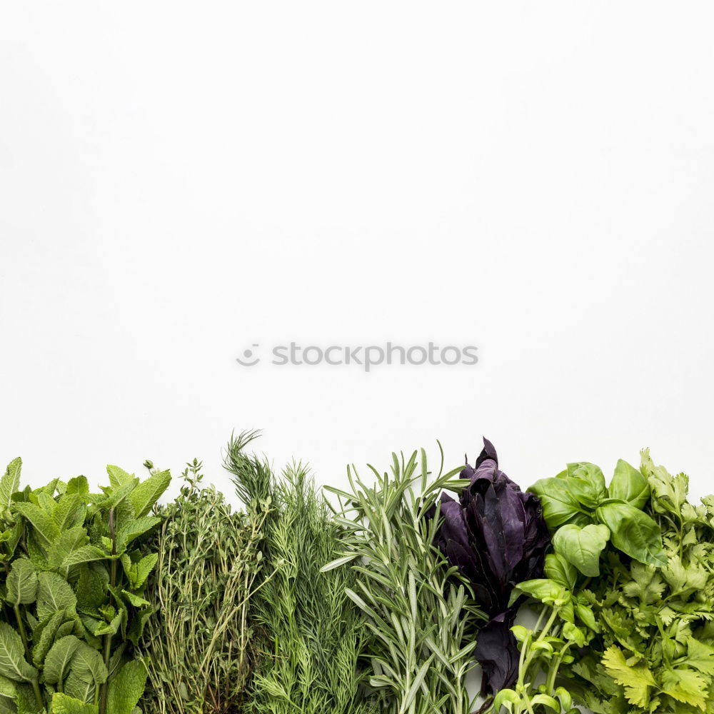 Similar – 800 | low yield Vegetable