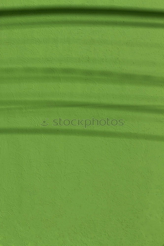 Similar – Image, Stock Photo moo Colour photo