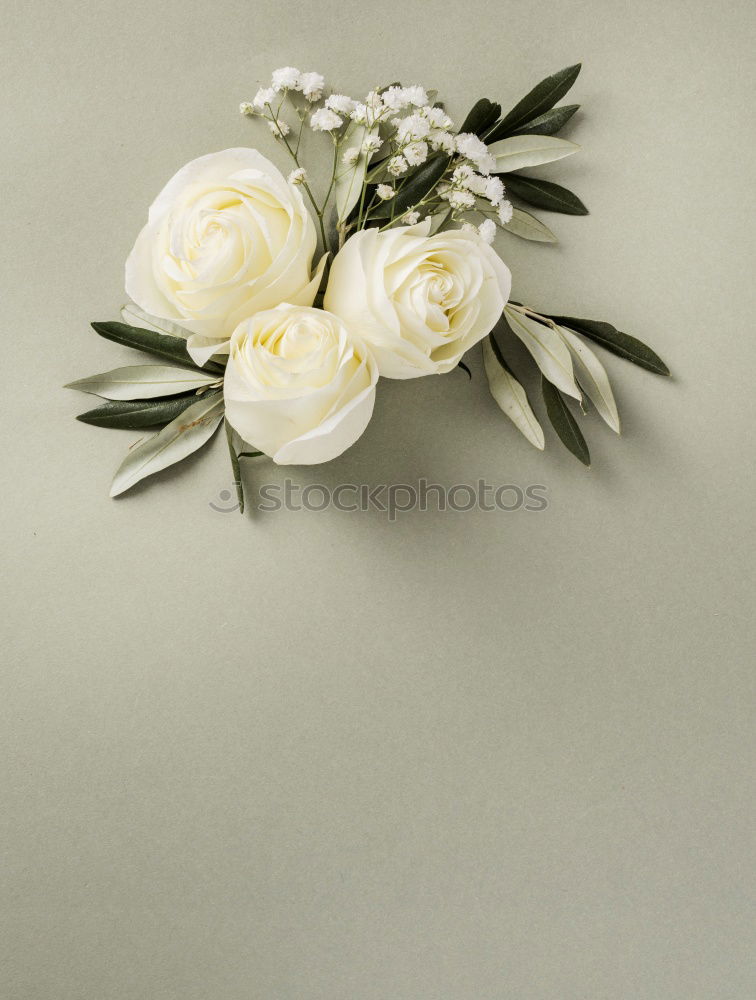 Similar – Image, Stock Photo aalto white Flower Vase