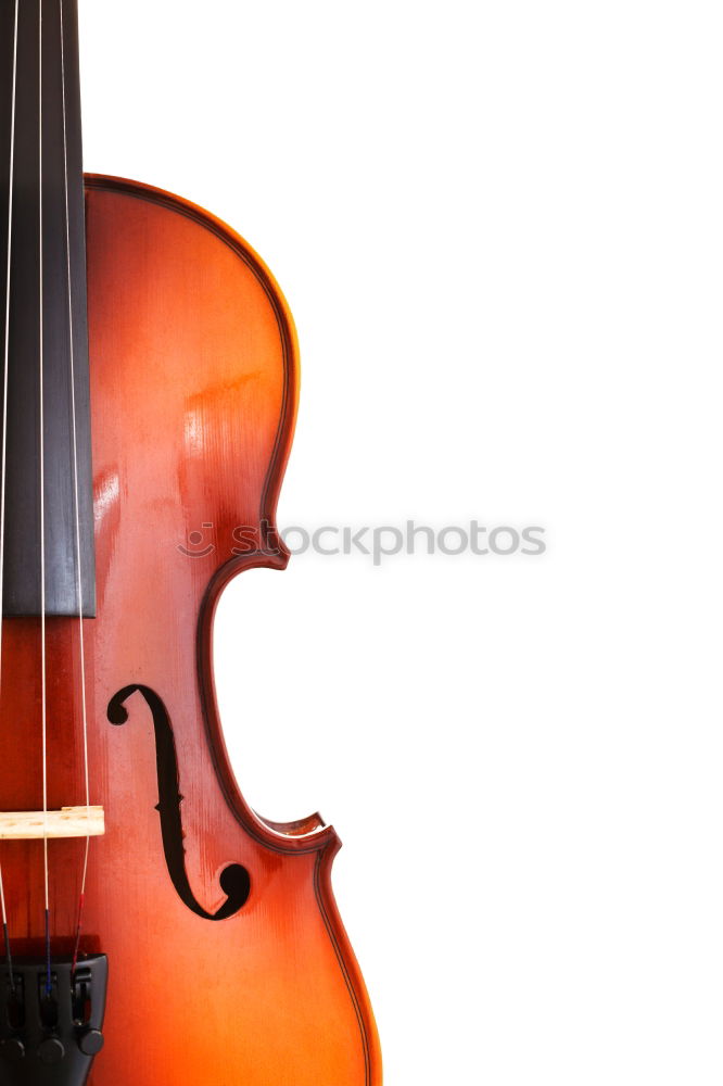 Similar – Image, Stock Photo Violin on green background