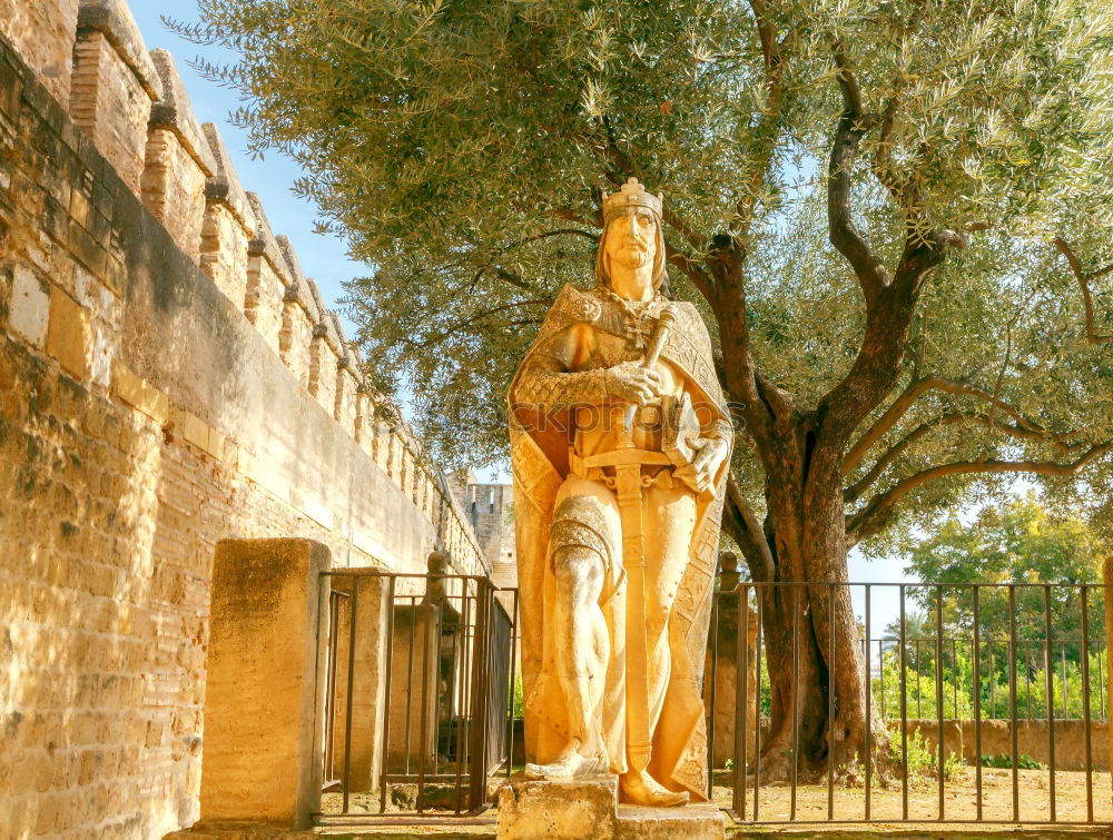 Similar – Image, Stock Photo Statue of roman emperor August, in Rome, Italy