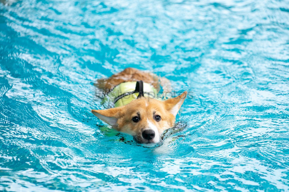 Similar – Life jacket testing.