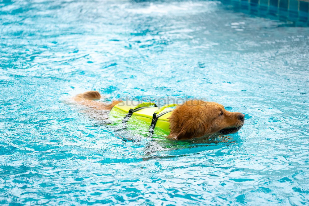 Similar – Life jacket testing.