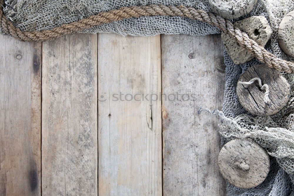 Similar – Image, Stock Photo Riding Stable Accessories Reins