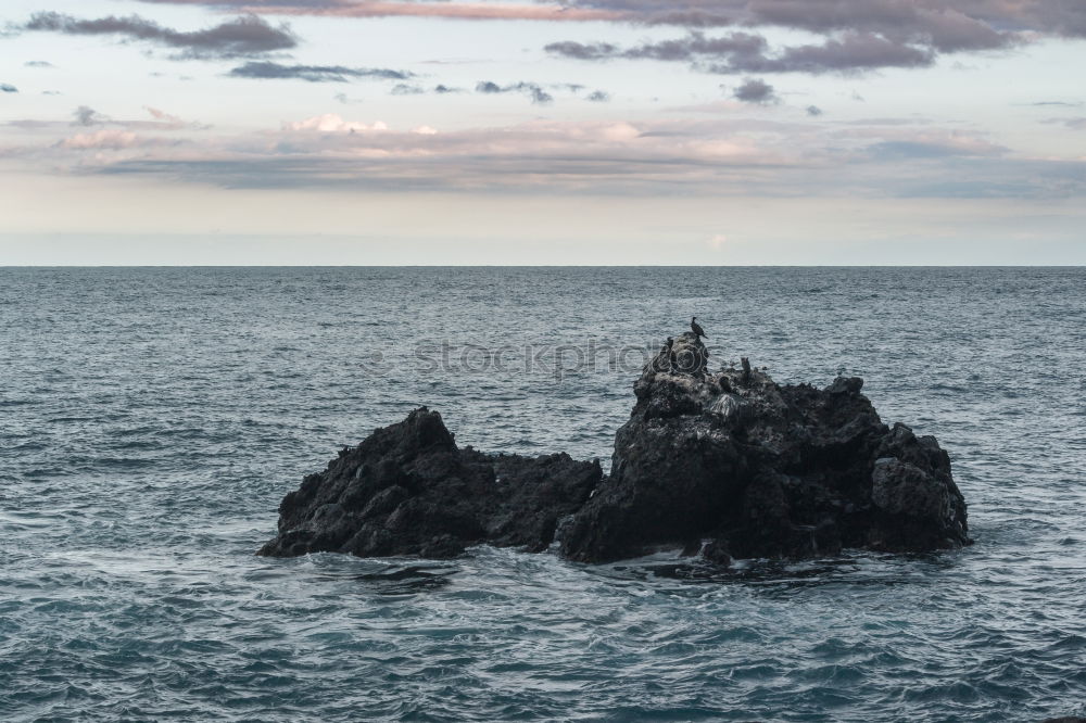 Similar – Image, Stock Photo flotsam and jetsam