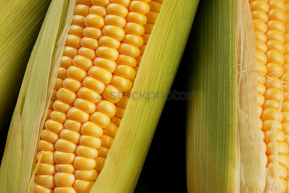 Similar – Image, Stock Photo Analog maize Food