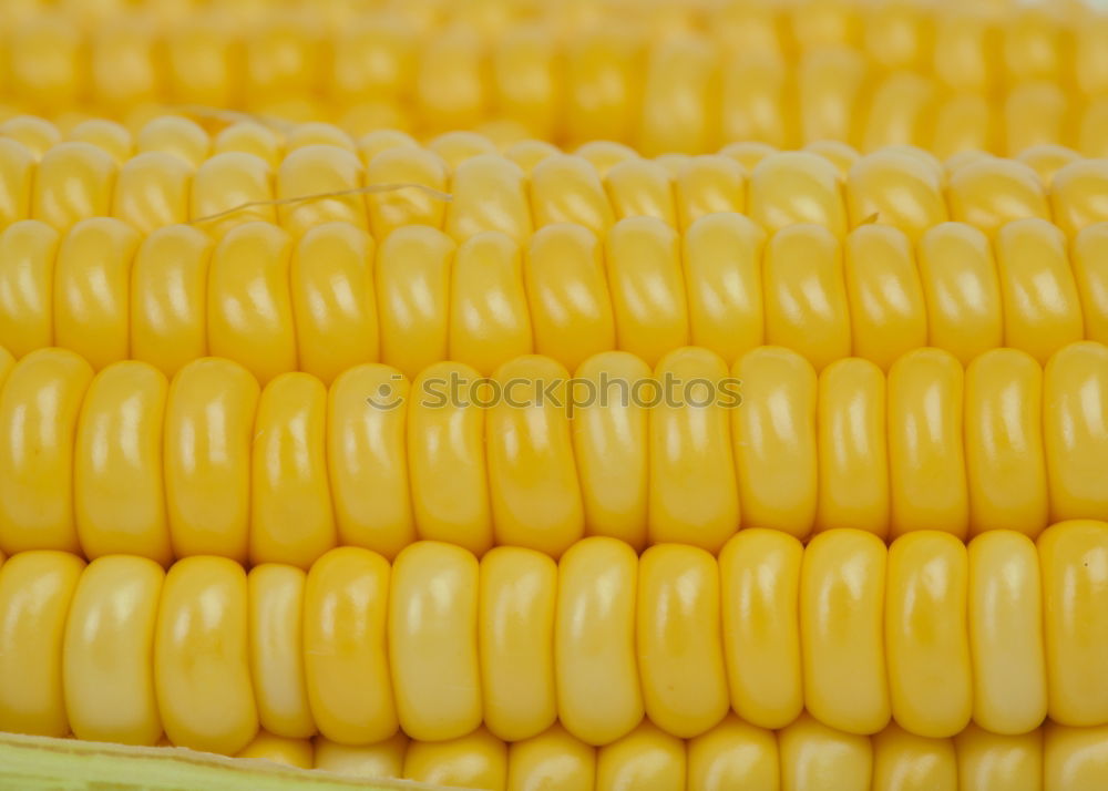 Similar – Image, Stock Photo eat corn Food Grain Picnic