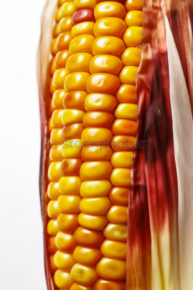 Similar – Image, Stock Photo I’m corny Yellow Popcorn