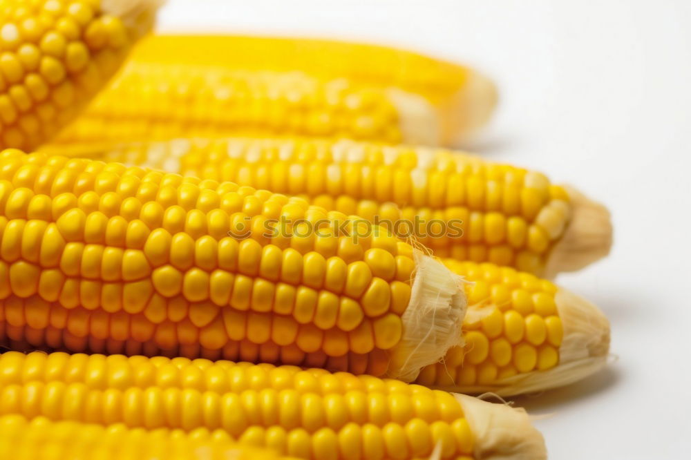 Similar – Image, Stock Photo eat corn Food Grain Picnic