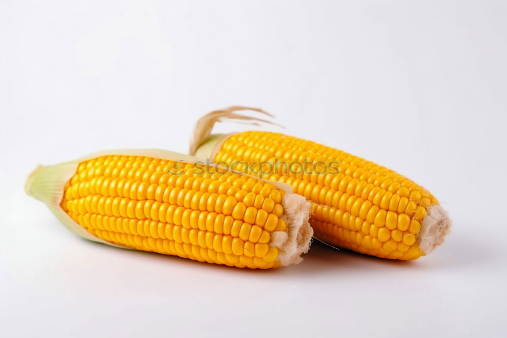 Similar – Image, Stock Photo Proud catch Vegetable