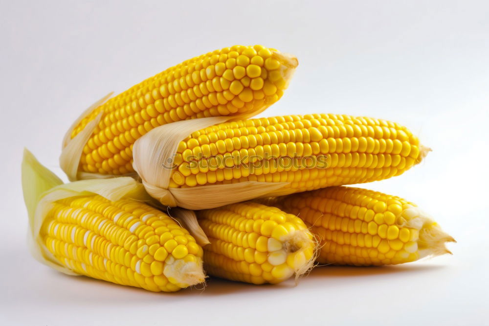 Similar – Image, Stock Photo poppcorn Piston Corn cob