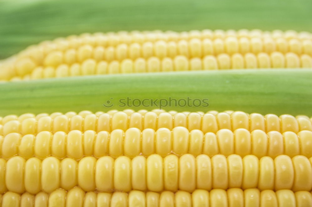 Similar – Image, Stock Photo eat corn Food Grain Picnic