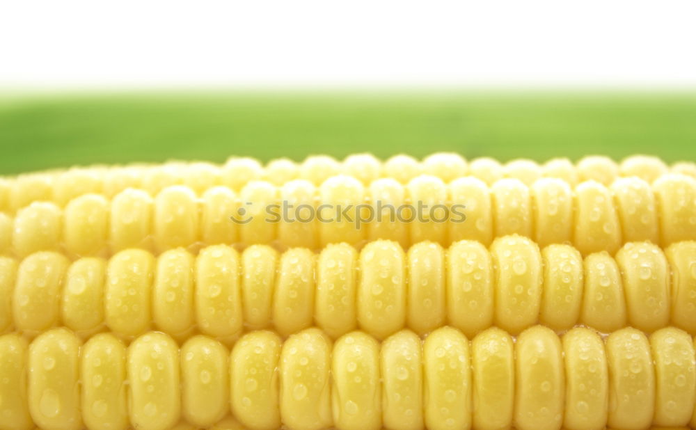 Similar – Image, Stock Photo eat corn Food Grain Picnic